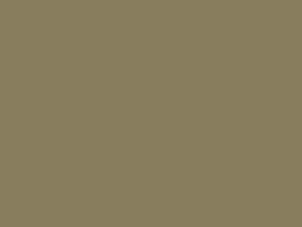 Placeholder color panel (#887e5d), a stand-in until real project photography is added