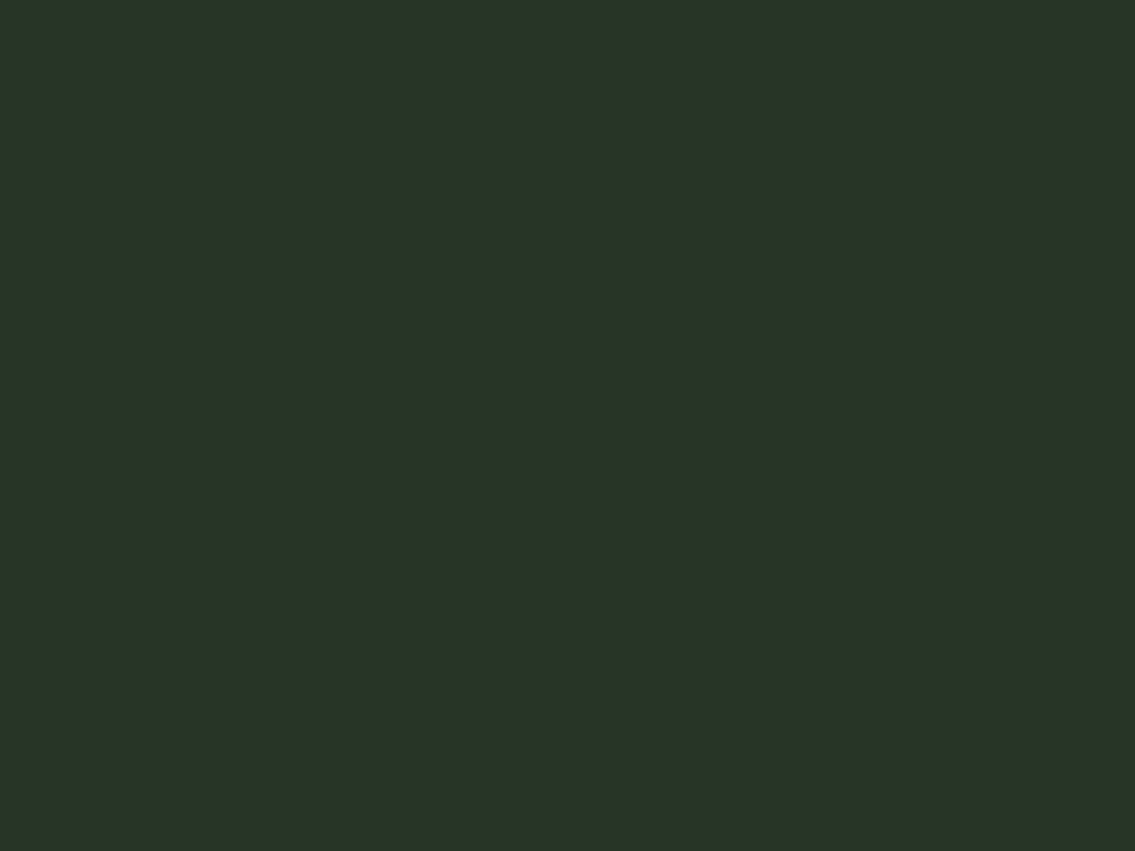 Placeholder color panel (#273526), a stand-in until real project photography is added