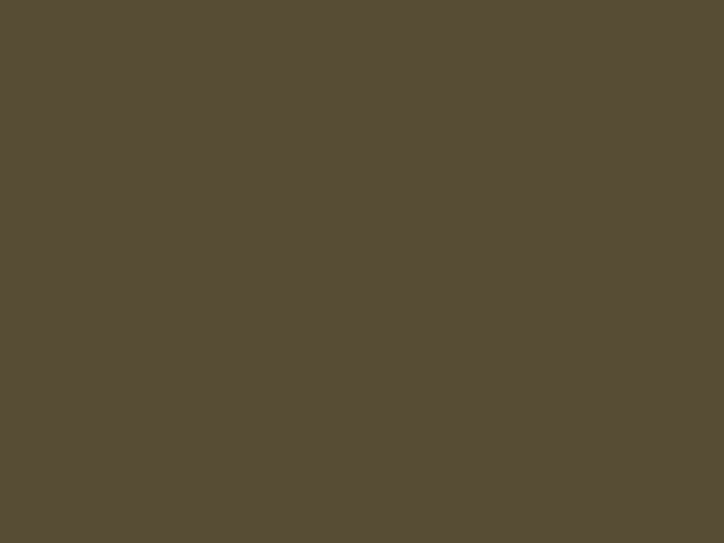 Placeholder color panel (#574d34), a stand-in until real project photography is added