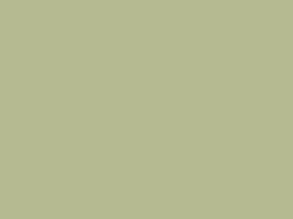 Placeholder color panel (#b6ba90), a stand-in until real project photography is added